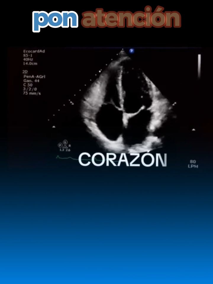 Cardiologia