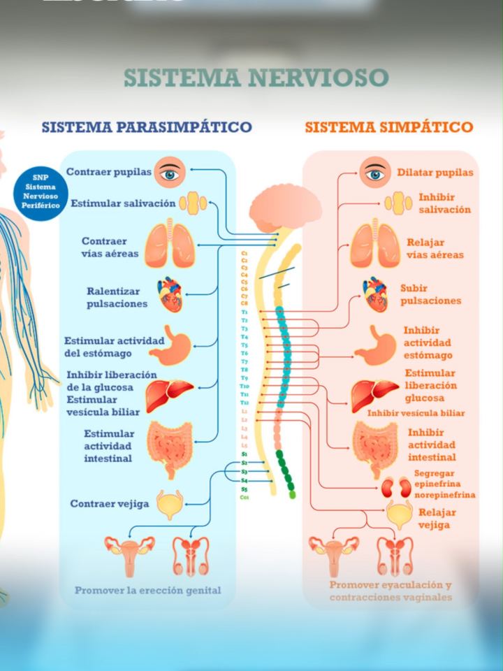 Psicologia y salud mental