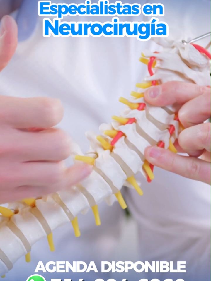 Neurocirugia